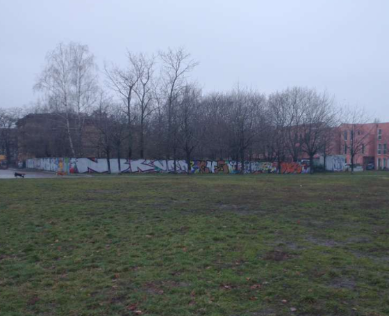 Captcha Bild 8